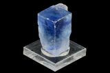 Zoned, Blue Halite Crystal - Igdar, Turkey #129064-1